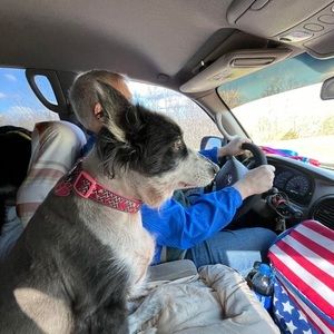 Meet your Posher, Joy